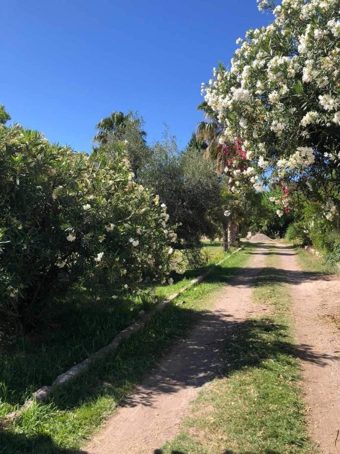 Del Diamante * San Rafael (Mendoza)
